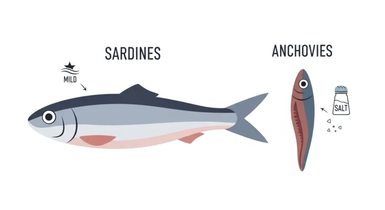 difference between sardines and anchovies